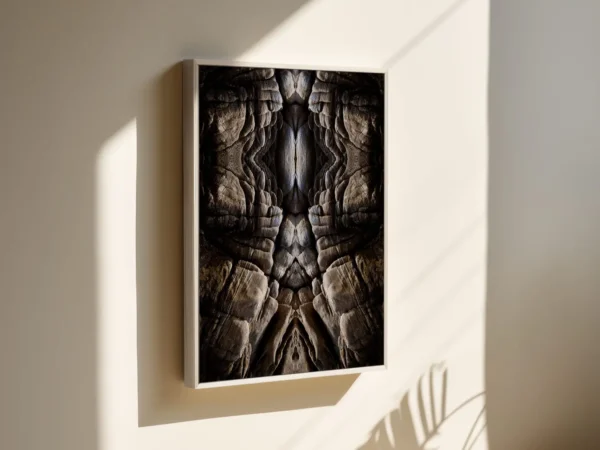 Condor - Image 2