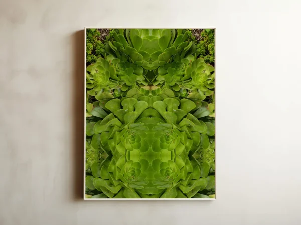 The Green Kingdom