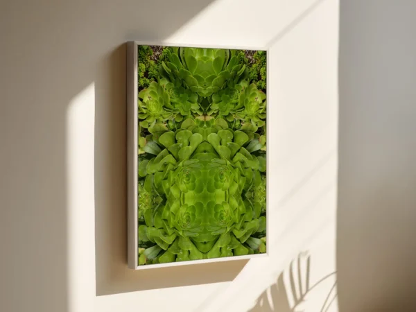 The Green Kingdom – Image 2