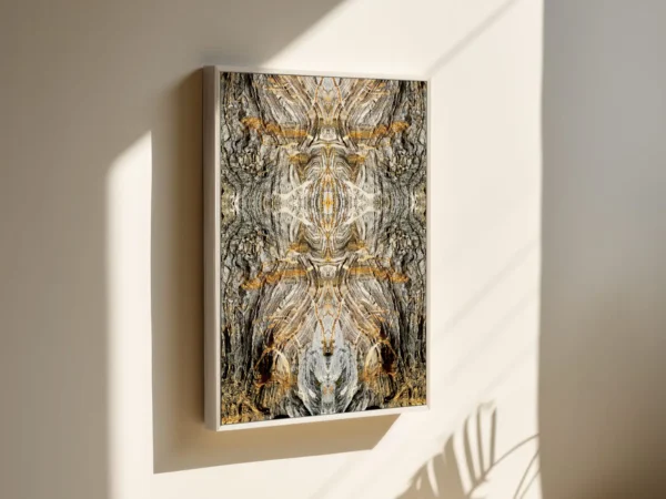 Wisdom Vision – Image 2